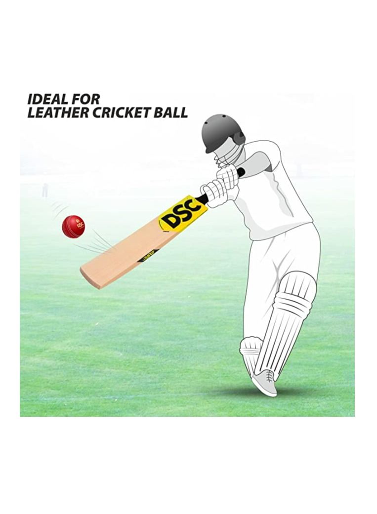 DSC Condor Pro Grade 1 English Willow | Cricket Bat Size : Short Handle | Balltype : Leather Ball |  Playing Style : All-Round - Image 5