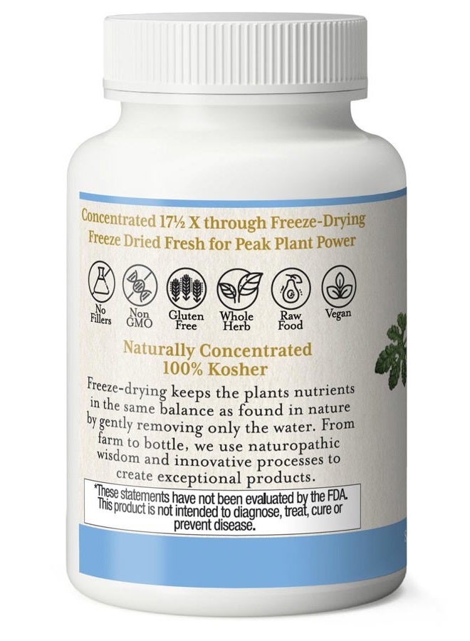 Eclectic Institute Raw Fresh Freeze-Dried Non-GMO Bitter Melon | 90 CT (200 mg)  - Image 3