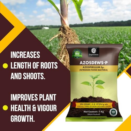 OrganicDews Azospirillum Bio Fertilizer Powder - Nitrogen Fixing Bacteria (5x10^7 CFU/g) 1 Kg for Plants - Soil Fertility, Faster Plant Growth and Increases the Yield - Azosdews 1 Kg - Image 5
