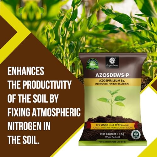 OrganicDews Azospirillum Bio Fertilizer Powder - Nitrogen Fixing Bacteria (5x10^7 CFU/g) 1 Kg for Plants - Soil Fertility, Faster Plant Growth and Increases the Yield - Azosdews 1 Kg - Image 2