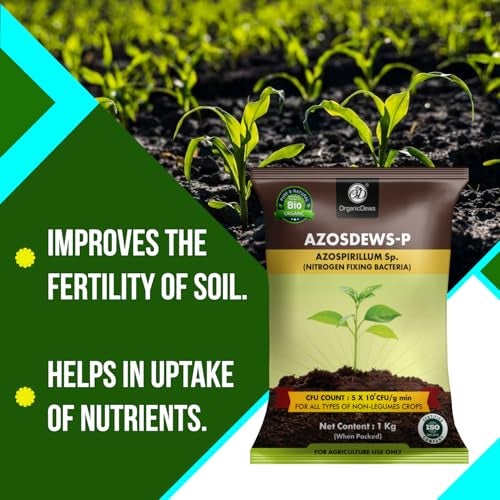 OrganicDews Azospirillum Bio Fertilizer Powder - Nitrogen Fixing Bacteria (5x10^7 CFU/g) 1 Kg for Plants - Soil Fertility, Faster Plant Growth and Increases the Yield - Azosdews 1 Kg - Image 3