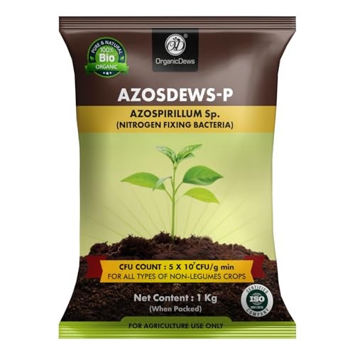 OrganicDews Azospirillum Bio Fertilizer Powder - Nitrogen Fixing Bacteria (5x10^7 CFU/g) 1 Kg for Plants - Soil Fertility, Faster Plant Growth and Increases the Yield - Azosdews 1 Kg - Image 1