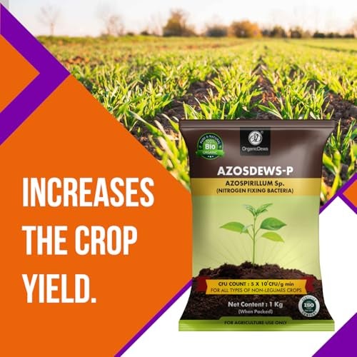 OrganicDews Azospirillum Bio Fertilizer Powder - Nitrogen Fixing Bacteria (5x10^7 CFU/g) 1 Kg for Plants - Soil Fertility, Faster Plant Growth and Increases the Yield - Azosdews 1 Kg - Image 4