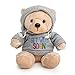 Ganz 9 Get Well Soon Teddy Bear with Gray Hoodie  Feel Better Gift for Kids  Women Tan Nose Stuffed Animal - Image 4