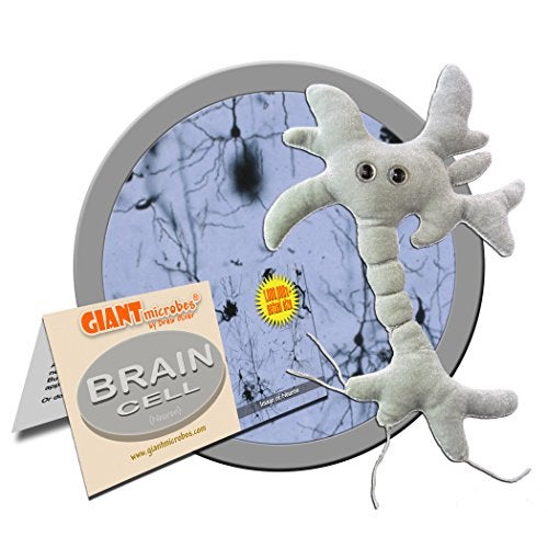 Giant Microbes GIANTmicrobes Brain Cell Plush, Neuron Plush, Neuroscience Gift, Neurology Gifts, Science Plushies, Neuron Model Anatomy, Psychology Gifts, Psychology Decor, Brain Gift, TBI, Mental Health Awareness - Image 2
