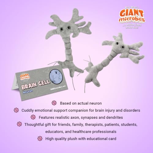 Giant Microbes GIANTmicrobes Brain Cell Plush, Neuron Plush, Neuroscience Gift, Neurology Gifts, Science Plushies, Neuron Model Anatomy, Psychology Gifts, Psychology Decor, Brain Gift, TBI, Mental Health Awareness - Image 3