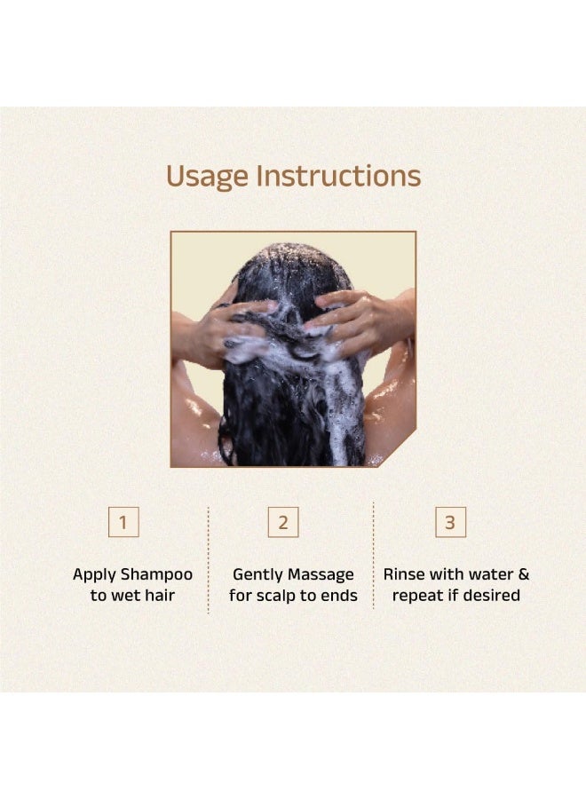 Vedix Dhavath Hair Fall Control Shampoo For Normal-Oily Hair | Ayurvedic Shampoo for Men & Women | Combo Pack | 200 ml*2 - Image 3