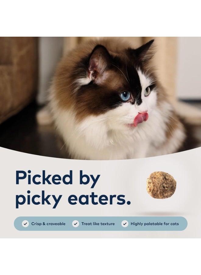 ZIWI Peak Steam & Dried Cage-Free Chicken with Whole Mackarel Recipe Dry Cat Food - Image 5