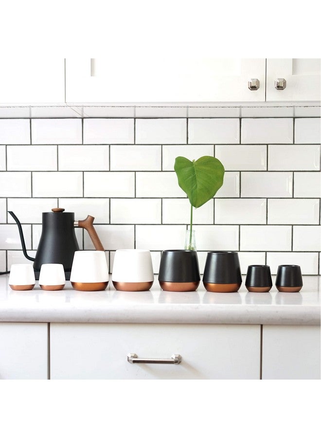 FELLOW فنجان قهوة سيراميك مزدوج الجدار من فيلو جوي - أنيق ومتطور، أسود غير لامع، كوب واحد سعة 8 أونصات - Image 4