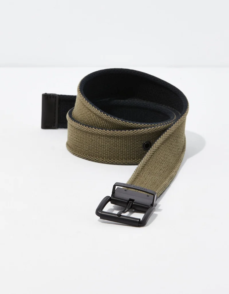 American Eagle AEO Reversible Web Belt