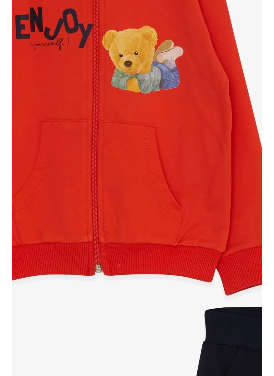 Breeze Boy's Tracksuit Set, Teddy Bear Printed, Age 1.5-5, Orange