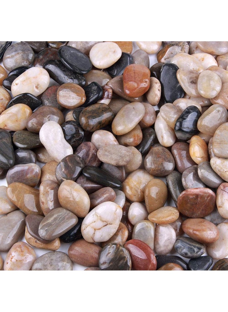 Home zone 2.2 Pounds (1 KG) River Rocks Pebbles 1-2 Inches Garden Outdoor Decorative Stones Natural Polished Mixed Colour Stones  - Image 3