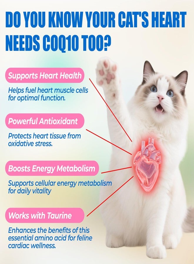 جرب عبوات Just Try 16 أونصة من مكافآت Coenzyme Q10 Heart Healthy Bites للقطط - مكمل غذائي متطور يحتوي على Coq10 والتورين لصحة قلب القطط - قطع مضغ طرية بنكهة الدجاج - يدعم وظائف القلب - Image 3