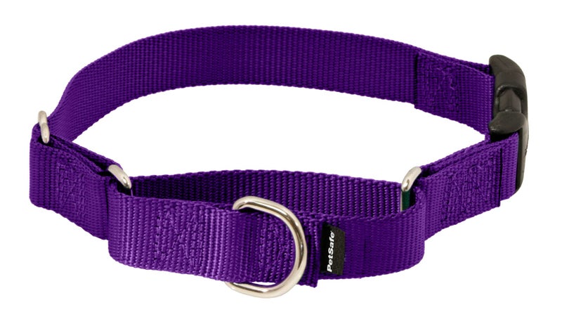 PetSafe Adjustable Martingale Collar - Improves Leash Manners - Escape Prevention - Gentle Behavior Training - Durable Nylon - Alternative to Choke Collar - Small 3/4" - Deep Purple - Image 1