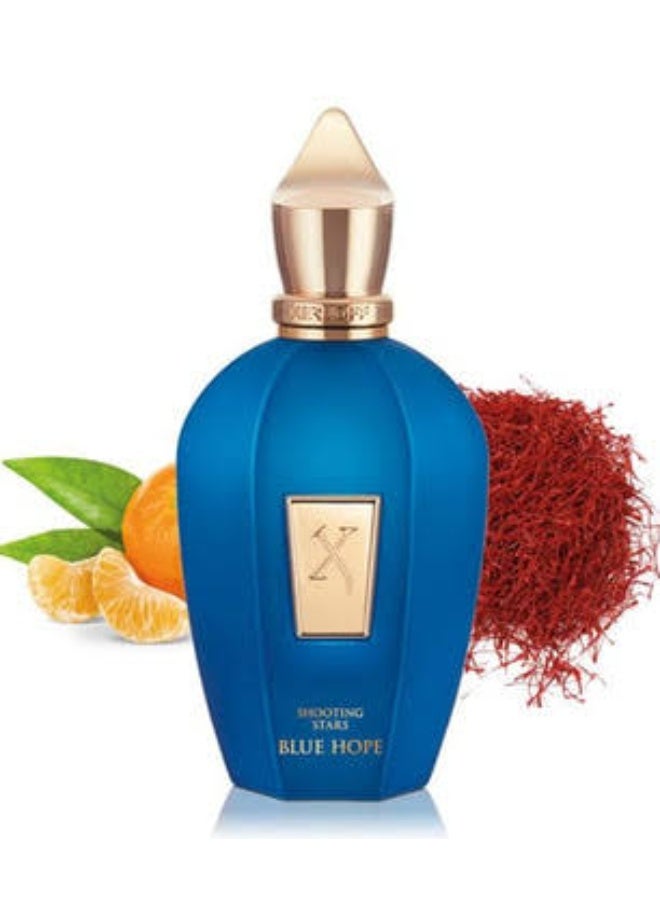 Xerjoff Blue Hope Unisex Eau De Parfum 100ML - Image 2