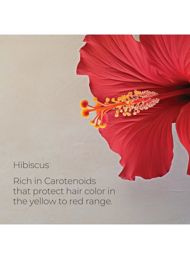 L'anza Healing ColorCare Color Preserving Conditioner, Hair Conditioner for Damaged Dry Hair to Protect Color and Restore Damage, for Healthy and Vibrant Hair with Color Conditioner, Luxury Hair Care - Image 5