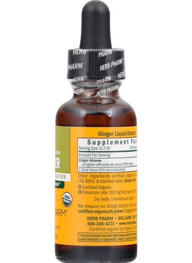 Herb Pharm Certified Organic Ginger Liquid Extract for Digestive Support - 1 Ounce - Image 4