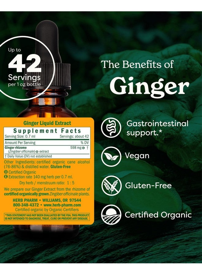 Herb Pharm Certified Organic Ginger Liquid Extract for Digestive Support - 1 Ounce - Image 2