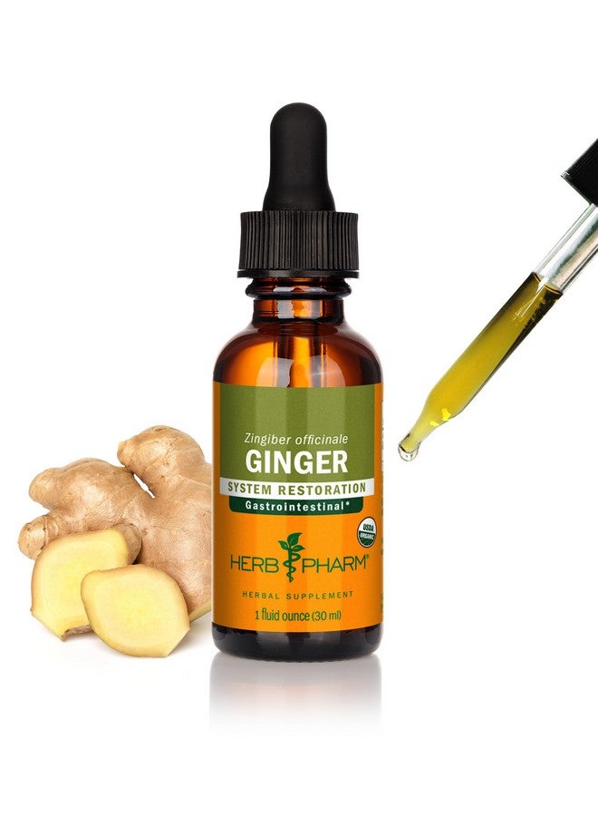 Herb Pharm Certified Organic Ginger Liquid Extract for Digestive Support - 1 Ounce - Image 1