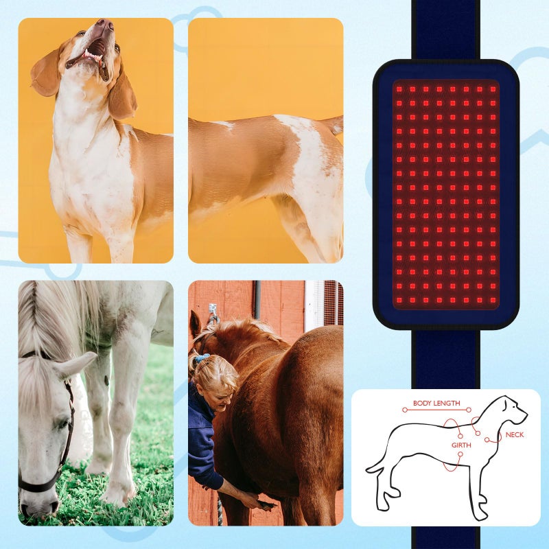 PUPCA Red Infrared Light Therapy Belt for Pets Pain Relief, Portable Wearable Cold Laser Therapy Device for Dogs Tissue Repair, Joint & Back Pain - Image 5