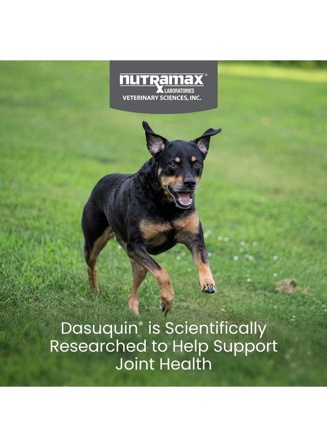 Nutramax Laboratories Nutramax Laboratories Dasuquin Joint Health Supplement for Small to Medium Dogs - With Glucosamine, Chondroitin, ASU, Boswellia Serrata Extract, Green Tea Extract, 84 Soft Chews  - Image 2
