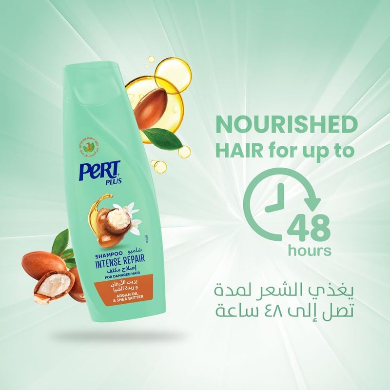 Pert Plus Shampoo for Damaged Hair with Argan Oil and Shea Butter, 600ml - Image 4