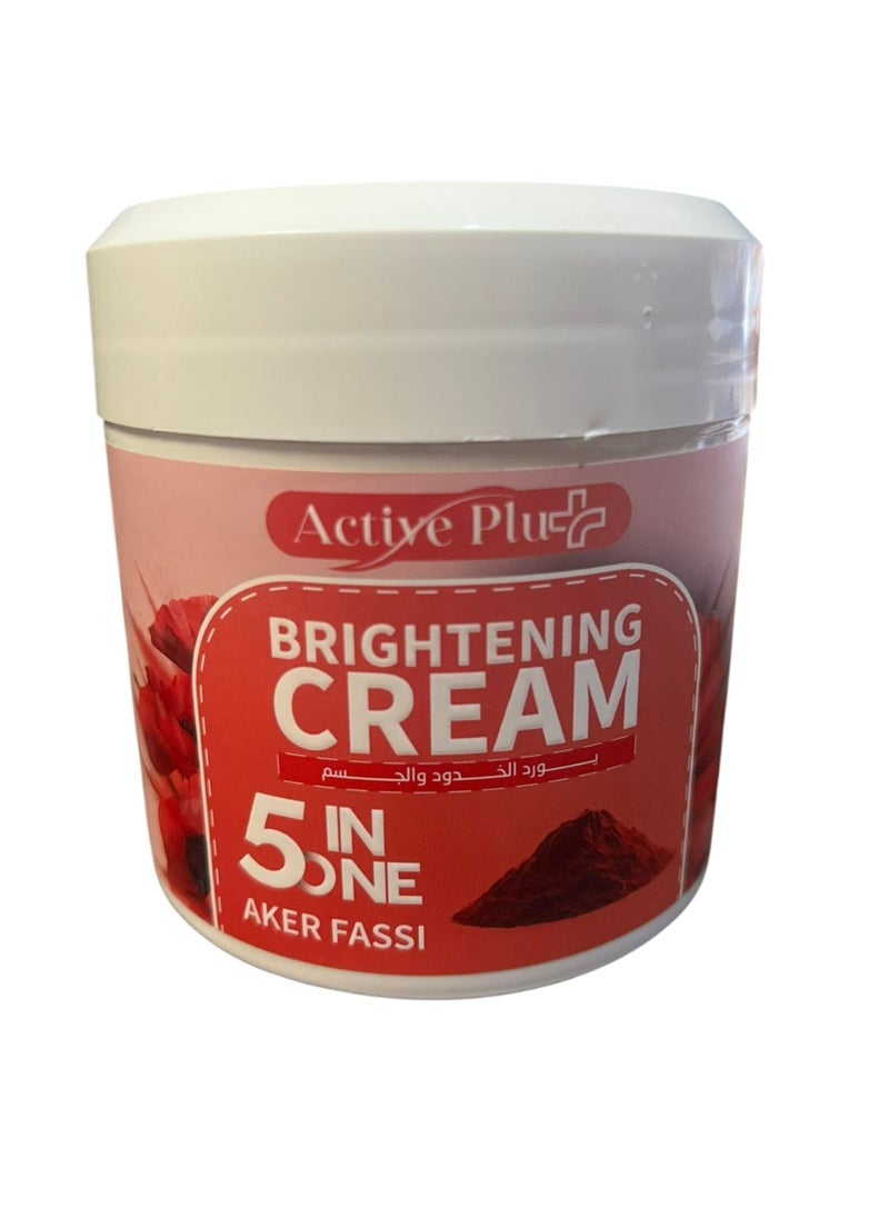 Brightening Cream Aker Fassi 5 In 1 500 ML - pzsku/Z6065E9C4B21EE8EDE689Z/45/_/1738847907/8f9eca71-dca2-42bd-8562-504ab203c446