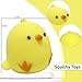 AiSiXin Chicken Stress Balls Squishy Toys for Kids Party Favors Dough Ball Squeeze Toys for Adults Funny Cute Farm Animals Stress Ball Sensory Toys for Autism - Image 2