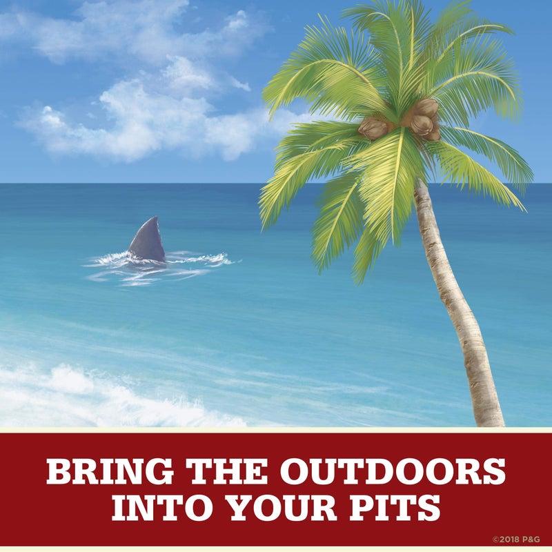 Old Spice Aluminum Free Deodorant for Men, Fiji with Palm Tree Scent, 3.0 Ounce, (Pack of 3) - Image 4