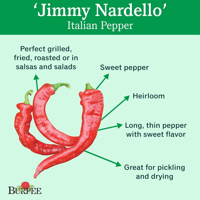 Burpee Jimmy Nardellos Sweet Pepper Seeds 30 seeds - Image 2