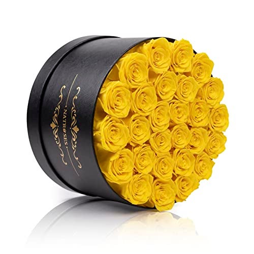 NATROSES 27 Piece Forever Preserved Roses in a Box, Preserved Flowers for Delivery Birthday, Flowers Gifts for Mothers Day, Yellow - Image 3
