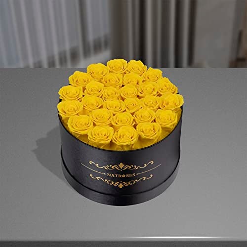 NATROSES 27 Piece Forever Preserved Roses in a Box, Preserved Flowers for Delivery Birthday, Flowers Gifts for Mothers Day, Yellow - Image 2