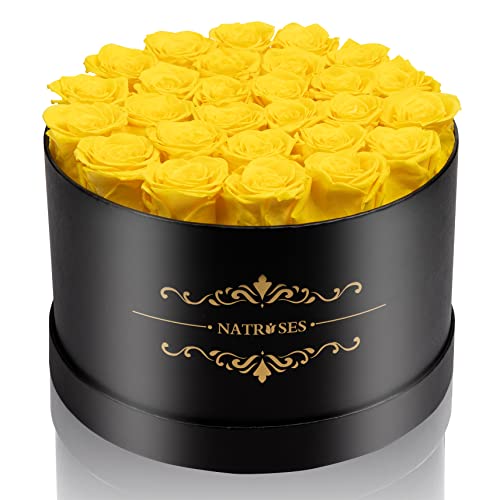 NATROSES 27 Piece Forever Preserved Roses in a Box, Preserved Flowers for Delivery Birthday, Flowers Gifts for Mothers Day, Yellow - Image 1