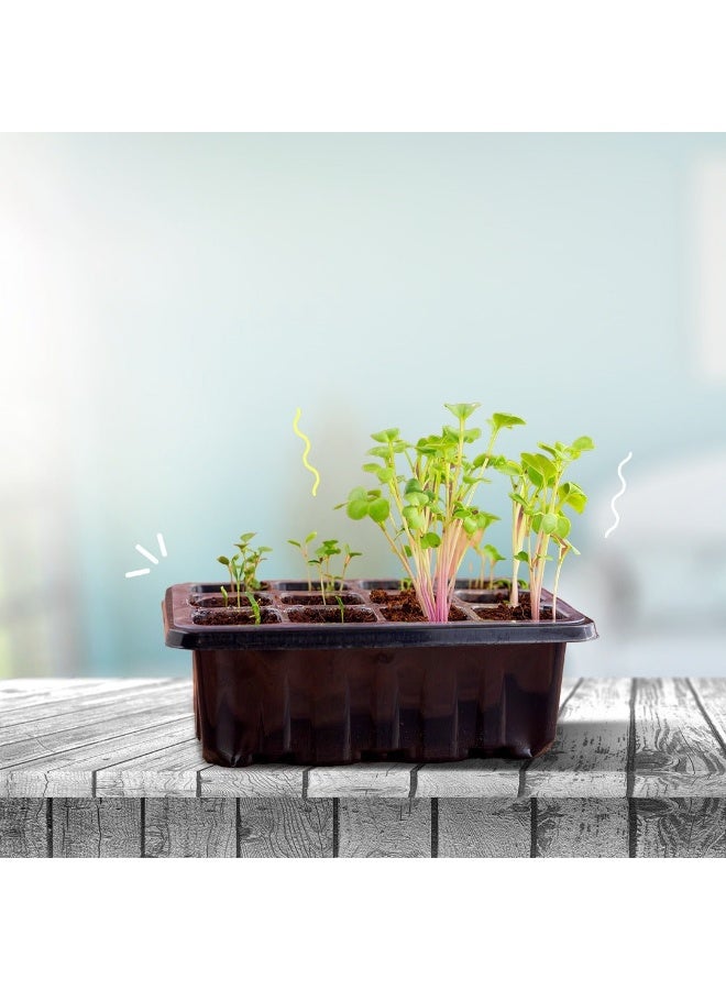 فن ليرنينج ستور طقم الزراعة للأطفال – ممتع وتعليمي لتنمية النباتات | حديقة صغيرة… مغامرة كبيرة! - Image 5