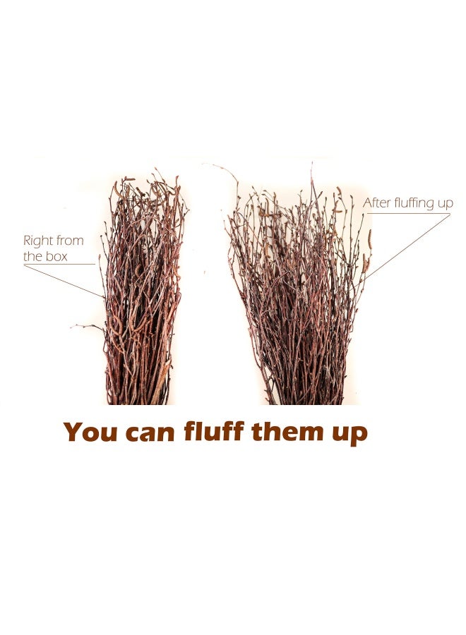 ECOWOODDECOR 200 pcs. 100% Natural Birch Twigs for centerpieces, for Crafts, Set of 4 Bundles. [ECOWOODDECOR] Birch branches for vase decoration, DIY, Wedding decoration birch twigs - Image 2