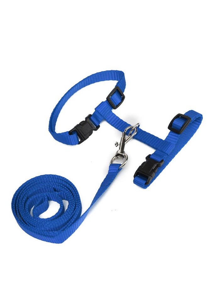 بيست بكس طوق مقود وحزام قابل للتعديل أسود/أزرق - Image 1