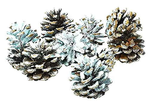 Winter woods Northern Lights Fire Color Cones 
