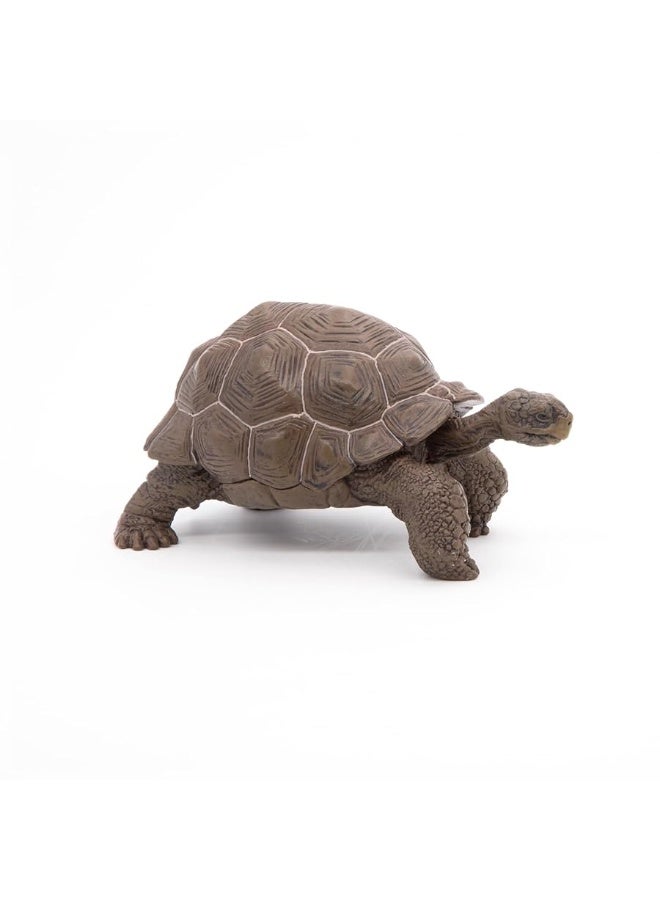 Papo Galapagos Tortoise Toy Figure - Image 1