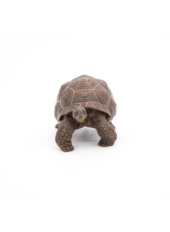 Papo Galapagos Tortoise Toy Figure - Image 4