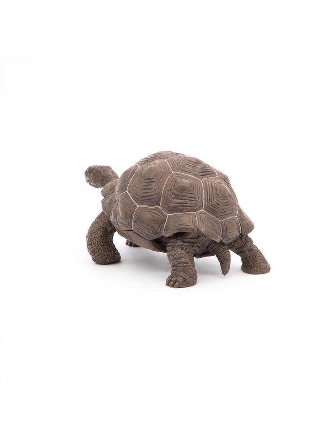 Papo Galapagos Tortoise Toy Figure - Image 3