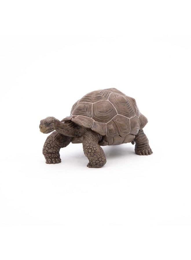 Papo Galapagos Tortoise Toy Figure - Image 5