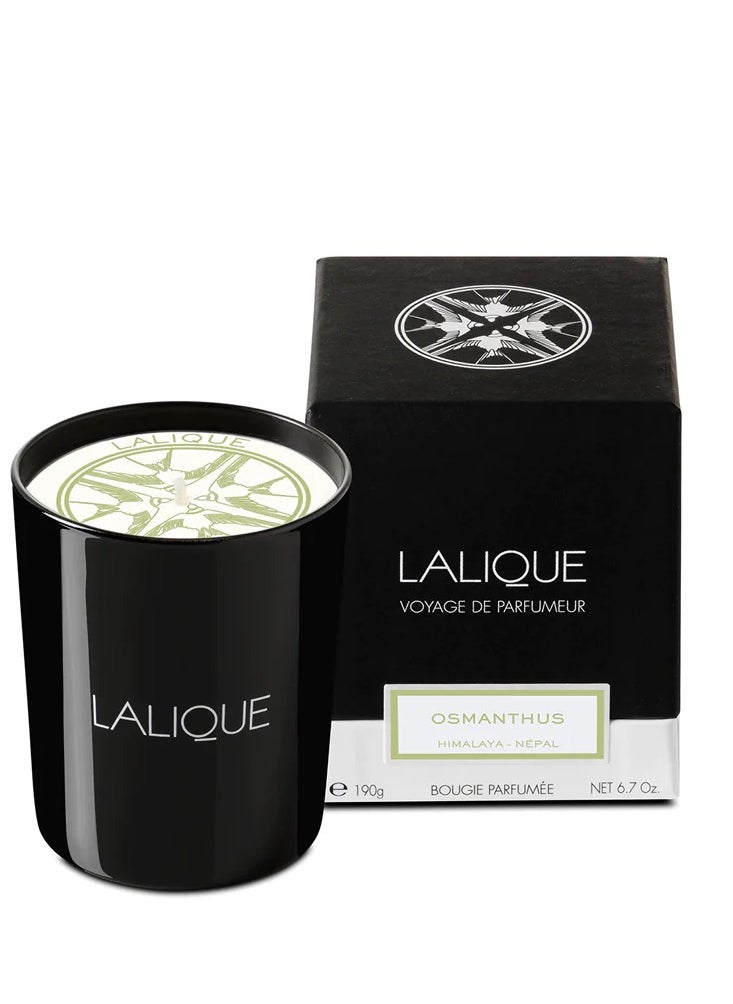 LALIQUE - Lalique Candle 190g Nepal - Image 1