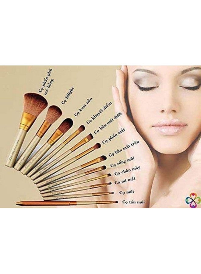 Lele? Makeup Brushes Kit Set of 12 with A Silver Storage Box and one brush cleaner egg shape - Image 3