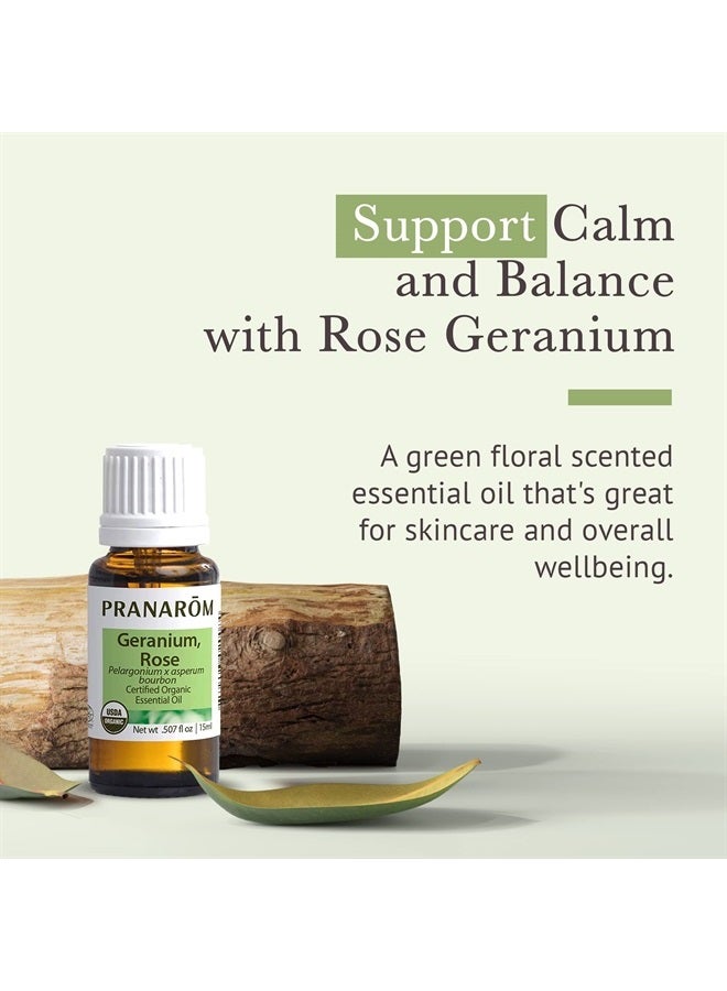 PRANAROM Rose Geranium Essential Oil (5ml) - 100% Pure Natural Therapeutic Grade Essential Oil for Aromatherapy and Skincare | USDA and ECOCERT Certified Organic - Image 2