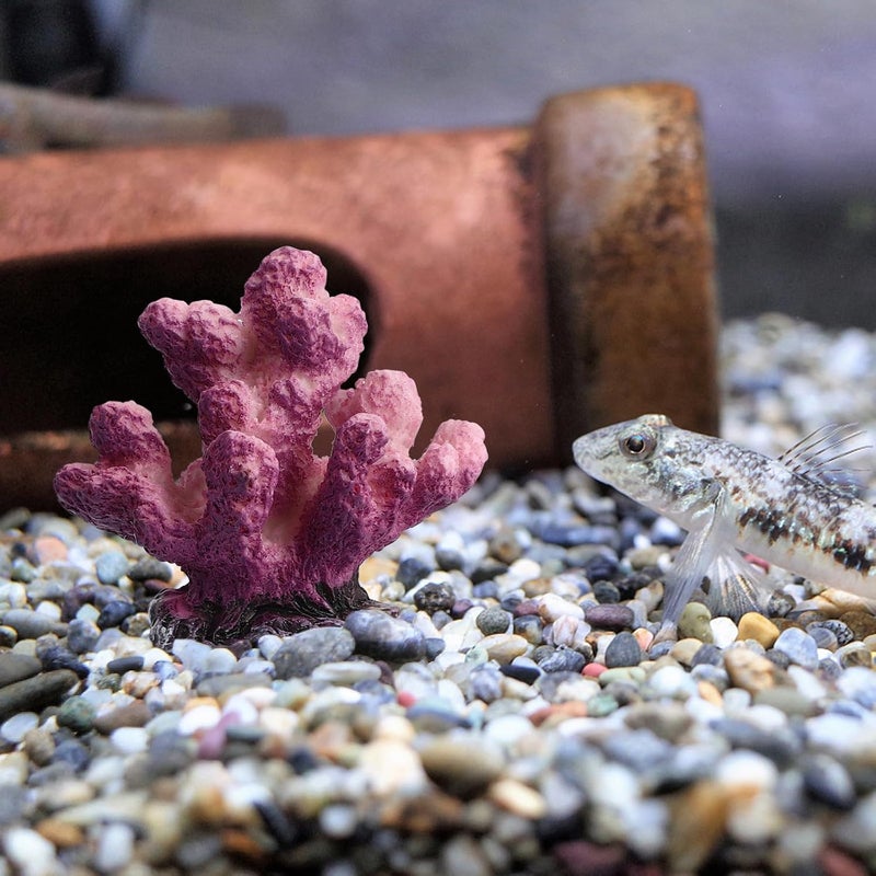 HANABASS 3 Pcs Lifelike Resin Artificial Coral Aquarium Ornament Fish Tank Coral Decoration for Aquarium Landscaping Tabletop Display - Image 4