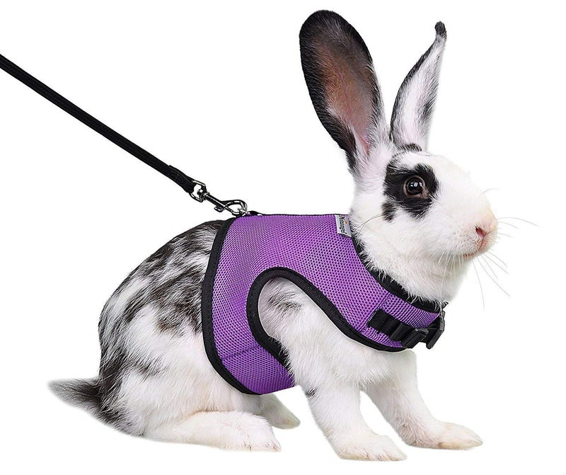 Niteangel Adjustable Soft Harness with Elastic Leash for Rabbits (M, Purple) - Image 1