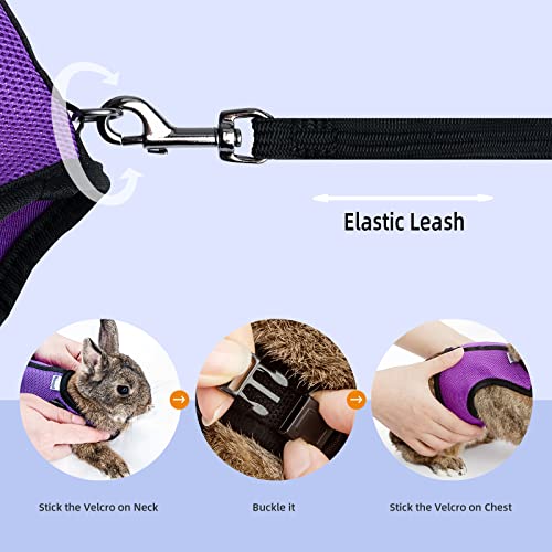 Niteangel Adjustable Soft Harness with Elastic Leash for Rabbits (M, Purple) - Image 5