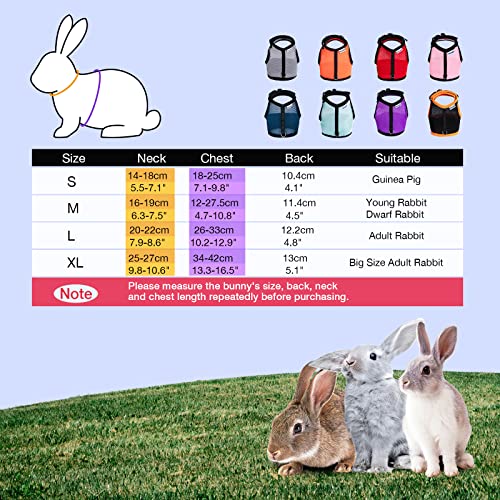 Niteangel Adjustable Soft Harness with Elastic Leash for Rabbits (M, Purple) - Image 2