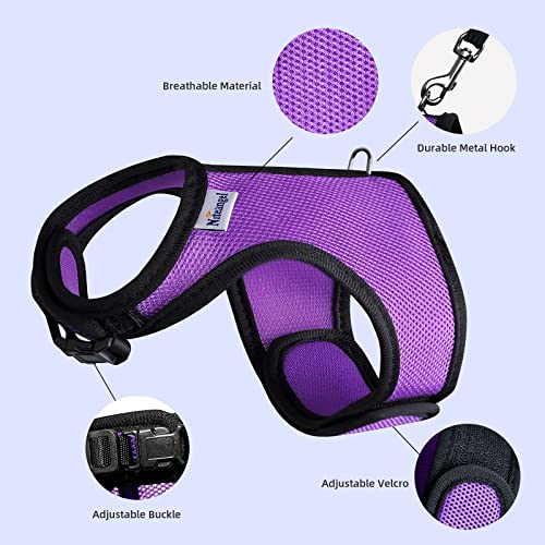 Niteangel Adjustable Soft Harness with Elastic Leash for Rabbits (M, Purple) - Image 3