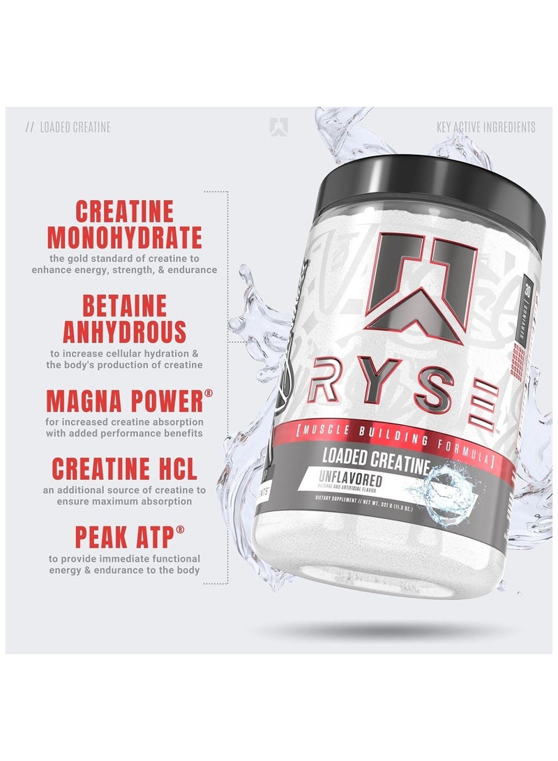 رايز كرياتين محمل بدون نكهة 30 - صيغة لبناء العضلات - Image 3